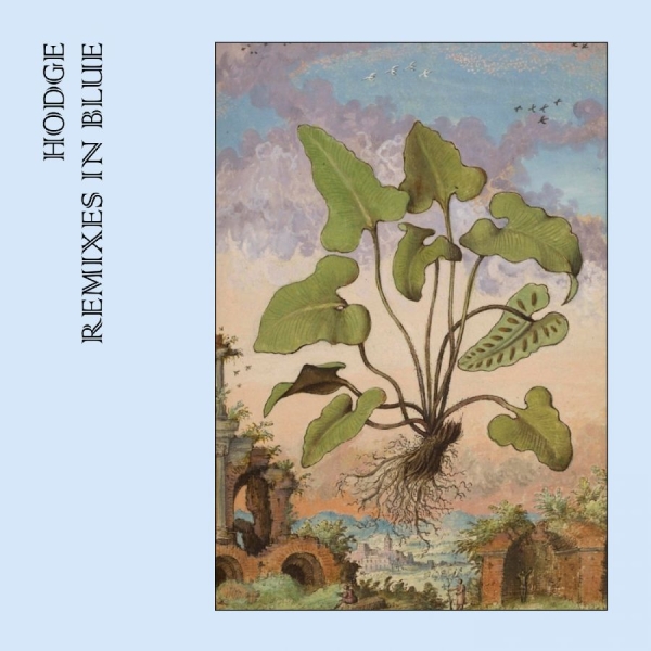 Hodge - Remixes In Blue (Blue Vinyl) i gruppen VINYL / Toppselgere hos Bengans Skivbutik AB (5561080)