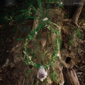 Pharmakon - Maggot Mass i gruppen CD hos Bengans Skivbutik AB (5561597)