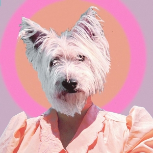 Litku Klemetti - Funny Girl i gruppen CD hos Bengans Skivbutik AB (5562015)