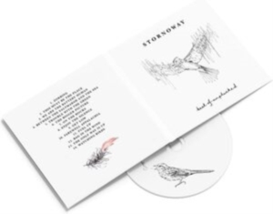 Stornoway - Best Of: Unplucked i gruppen VI TIPSER / Fredagsutgivelser / Fredag 29 november 2024 hos Bengans Skivbutik AB (5562079)