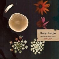 Largo Hugo - Huge, Large And Electric: Hugo Larg i gruppen CD hos Bengans Skivbutik AB (5562657)