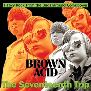 Various Artists - Brown Acid: The 17Th Trip i gruppen VINYL hos Bengans Skivbutik AB (5562724)