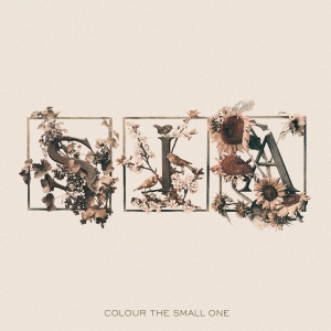 Sia - Colour The Small One i gruppen CD hos Bengans Skivbutik AB (5562920)
