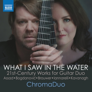 Chromaduo - What I Saw In The Water i gruppen CD hos Bengans Skivbutik AB (5563083)