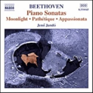 Beethoven Ludwig Van - Piano Sonatos Vol 1 i gruppen CD / Annet hos Bengans Skivbutik AB (556356)