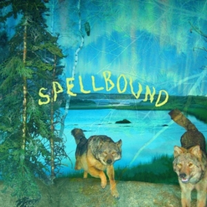 Boyscott - Spellbound i gruppen VI TIPSER / Fredagsutgivelser / Fredag den 18:e oktober 2024 hos Bengans Skivbutik AB (5563665)