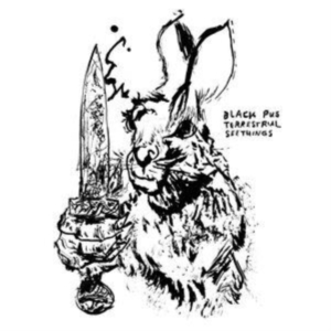 Black Pus - Terrestrial Seethings i gruppen VI TIPSER / Fredagsutgivelser / Fredag den 18:e oktober 2024 hos Bengans Skivbutik AB (5563690)