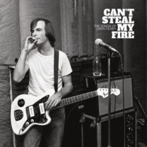 Various Artists - Can't Steal My Fire: The Songs Of D i gruppen VI TIPSER / Fredagsutgivelser /  hos Bengans Skivbutik AB (5563961)