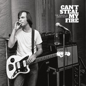 Various Artists - Can't Steal My Fire: The Songs Of D i gruppen VI TIPSER / Fredagsutgivelser / hos Bengans Skivbutik AB (5563961)