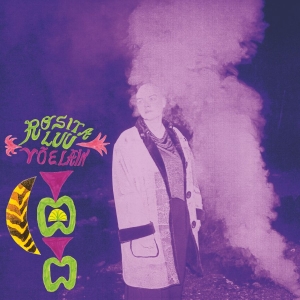 Rosita Luu - Yöeläin i gruppen VINYL / Pop-Rock hos Bengans Skivbutik AB (5564586)