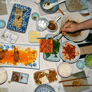 Vices The - Before It Might Be Gone i gruppen VINYL / Pop-Rock hos Bengans Skivbutik AB (5564771)