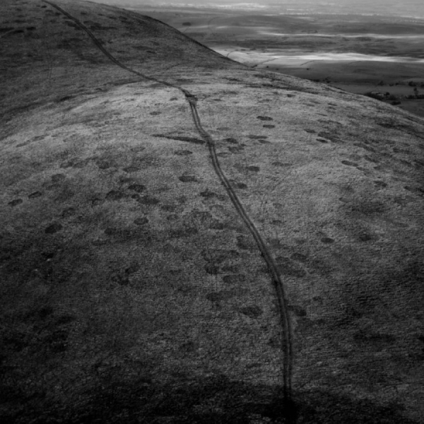 Craven Faults - Bounds i gruppen VI TIPSER / Fredagsutgivelser / hos Bengans Skivbutik AB (5565026)