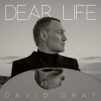 David Gray - Dear Life (Ltd Sea Weed Green Vinyl) 2LP i gruppen Annet / hos Bengans Skivbutik AB (5565976)