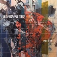 Pineapple Thief The - Last To Run i gruppen CD / Pop-Rock hos Bengans Skivbutik AB (5566187)