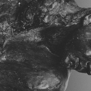 Mother - Ii i gruppen VI TIPSER / Fredagsutgivelser / hos Bengans Skivbutik AB (5566360)