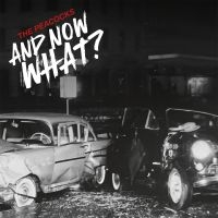 Peacocks The - And Now What? (Coloured Vinyl Lp) i gruppen VI TIPSER / Fredagsutgivelser / Fredag 22 november 2024 hos Bengans Skivbutik AB (5566784)