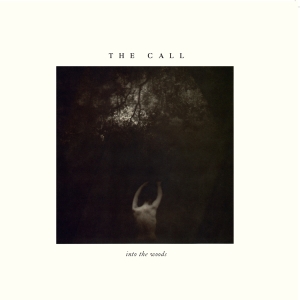 The Call - Into The Woods i gruppen Annet /  hos Bengans Skivbutik AB (5567018)