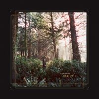 Heynderickx Haley - Seed Of A Seed i gruppen CD hos Bengans Skivbutik AB (5568232)