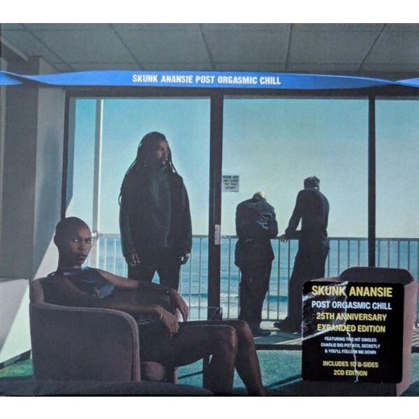Skunk Anansie - Post Orgasmic Chill i gruppen CD / Pop-Rock hos Bengans Skivbutik AB (5568954)