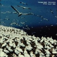 Thinking Fellers Union Local 282 - These Things Remain Unassigned i gruppen VINYL / Pop-Rock hos Bengans Skivbutik AB (5568967)