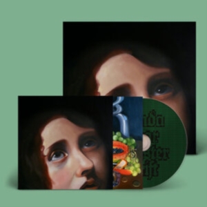 Panda Bear - Sinister Grift i gruppen Annet /  hos Bengans Skivbutik AB (5569477)
