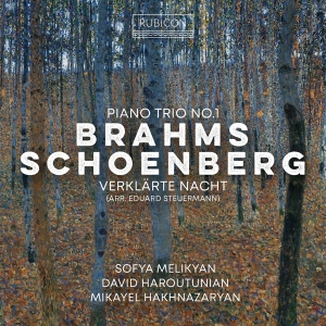 Sofya Melikyan & David Haroutunian & Mikayel Hakhnazaryan - Brahms: Piano Trio No. 1 - Schoenberg: Verklärte Nacht (Arr. Eduard Steuermann) i gruppen Annet / hos Bengans Skivbutik AB (5569609)