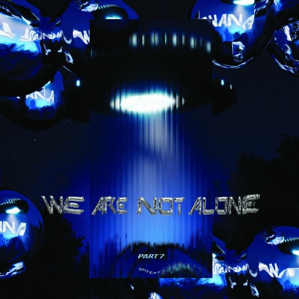 Various Artists - We Are Not Alone - Part 7 i gruppen VINYL hos Bengans Skivbutik AB (5570170)