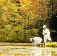 Hedningarna - Hippjokk i gruppen CD hos Bengans Skivbutik AB (557087)