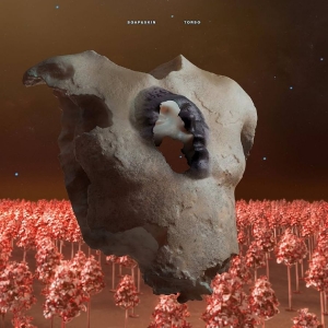 Soap&Skin - Torso i gruppen VI TIPSER / Fredagsutgivelser / Fredag 22 november 2024 hos Bengans Skivbutik AB (5570942)