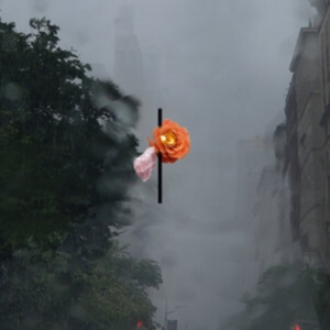 Rosenbaum August - Songs People Together (Clear Vinyl) i gruppen Annet /  hos Bengans Skivbutik AB (5571085)