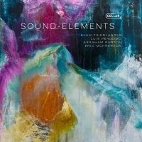 Friedlander Elam - Sound-Elements i gruppen CD hos Bengans Skivbutik AB (5571108)