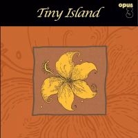 Tiny Island - Tiny Island i gruppen VINYL hos Bengans Skivbutik AB (5571951)