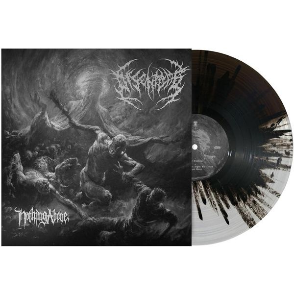 Disentomb - Nothing Above i gruppen VINYL / Metal hos Bengans Skivbutik AB (5572105)