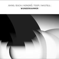 Bang / Duch / Honoré / Toop / Waste - Wunderkammer i gruppen VI TIPSER / Fredagsutgivelser / Fredag 13 desember 2024 hos Bengans Skivbutik AB (5572219)
