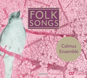 Traditional - Folk Songs i gruppen CD hos Bengans Skivbutik AB (5572353)