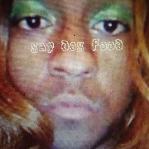 Blanco Mykki - Mykki Blanco Presents Gay Dog Food i gruppen VINYL / Toppselgere hos Bengans Skivbutik AB (5572539)