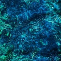 Aoba Ichiko - Luminescent Creatures i gruppen VI TIPSER / Fredagsutgivelser / 2025-02-28 hos Bengans Skivbutik AB (5572822)