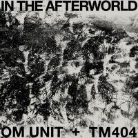 Om Unit + Tm404 - In The Afterworld i gruppen VINYL / Pop-Rock hos Bengans Skivbutik AB (5572938)