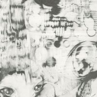 Ex Wiish - Shards Of Axel i gruppen VINYL hos Bengans Skivbutik AB (5572939)