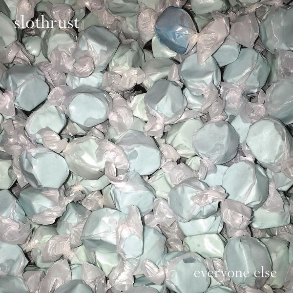 Slothrust - Everyone Else i gruppen VINYL / Pop-Rock hos Bengans Skivbutik AB (5572979)