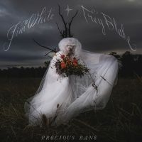 Jim White - Precious Bane i gruppen VI TIPSER / Fredagsutgivelser / 2025-01-31 hos Bengans Skivbutik AB (5573506)