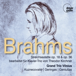 Grand Trio Vilnius - Johannes Brahms: String Sextets Opp i gruppen CD hos Bengans Skivbutik AB (5573902)