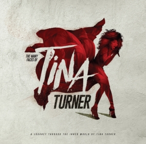 Various Artists - Many Faces Of Tina Turner The (2 Lp i gruppen VINYL / Pop-Rock hos Bengans Skivbutik AB (5574510)