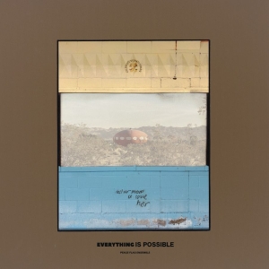 Peace Flag Ensemble - Everything Is Possible i gruppen CD / Jazz hos Bengans Skivbutik AB (5574680)