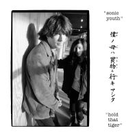 Sonic Youth - Hold That Tiger i gruppen VINYL / Pop-Rock hos Bengans Skivbutik AB (5574757)