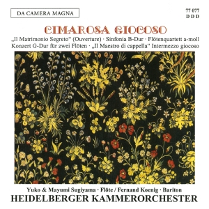 Cimarosa - Sinfonia/Concerto For 2 Flutes/Maes i gruppen CD / Klassisk hos Bengans Skivbutik AB (5574881)