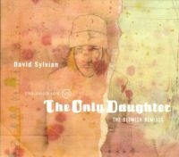 David Sylvian - The Good Son Vs. The Only Daughter i gruppen VINYL / Pop-Rock hos Bengans Skivbutik AB (5575272)