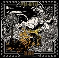 Astral Kompakt - Goldader (Green Vinyl Lp) i gruppen VINYL / Metal hos Bengans Skivbutik AB (5575875)