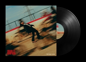 Simpson Bradley - The Panic Years i gruppen VINYL / Pop-Rock hos Bengans Skivbutik AB (5576195)