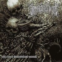 Lightning Swords Of Death - Extra Dimensional Wound The (2 Lp C i gruppen VINYL / Kommende / Metal hos Bengans Skivbutik AB (5576259)